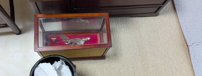 神奈川県鎌倉市の空き家片付けで見つかった茶道具と和家具を描いたイラスト。抹茶碗や茶筅、茶箪笥などが並ぶ。